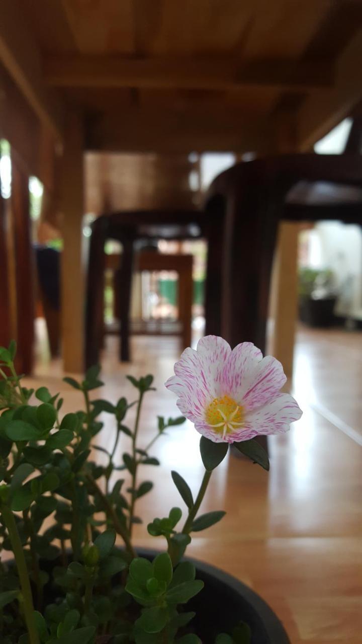 Ranga Villa Hikkaduwa Εξωτερικό φωτογραφία